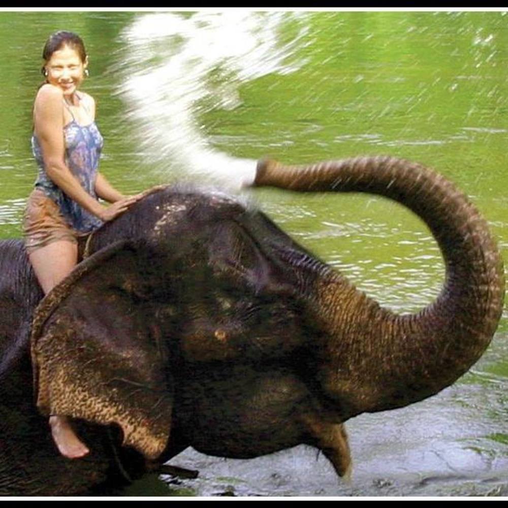 Meet your Posher, Jenny